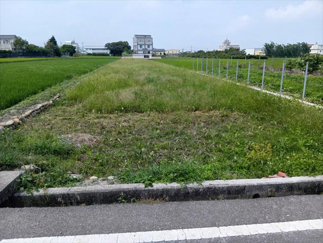 生產者圖片
