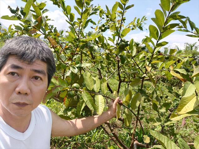 生產者圖片