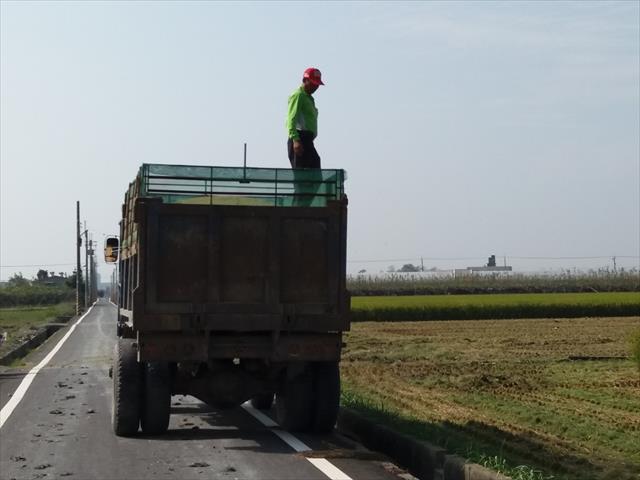 生產者圖片