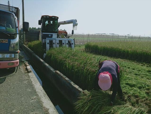 生產者圖片