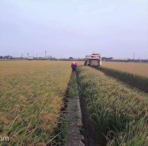 生產者圖片