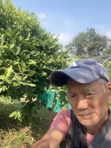 生產者圖片
