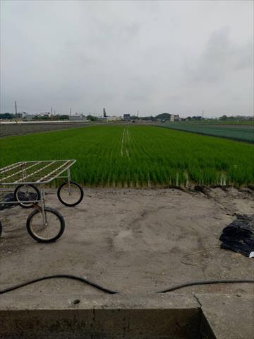 生產者圖片
