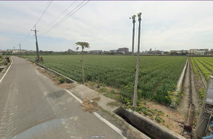 生產者圖片