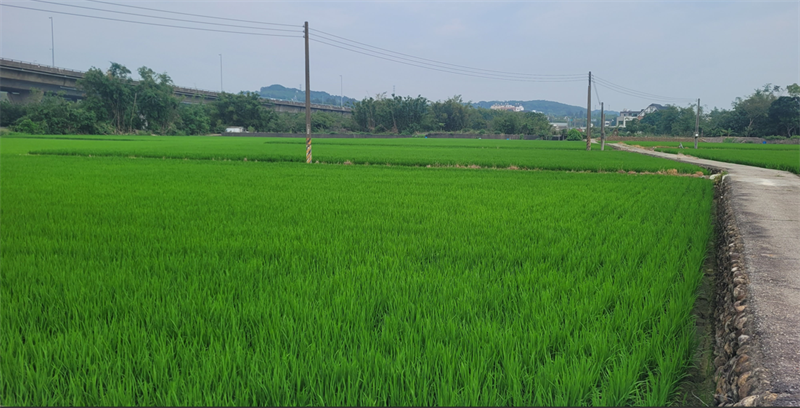 生產者圖片