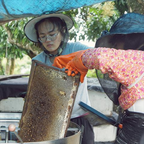 生產者圖片