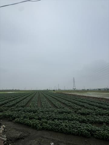 生產者圖片