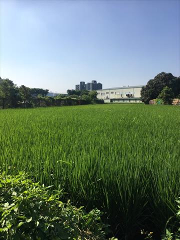 生產者圖片