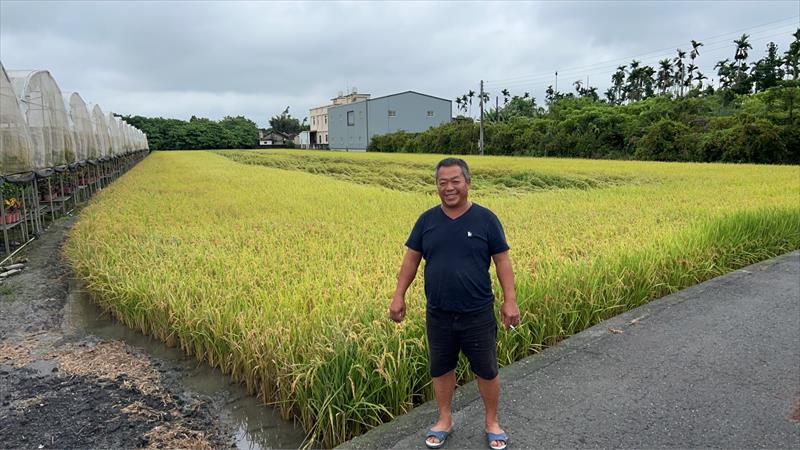 生產者圖片