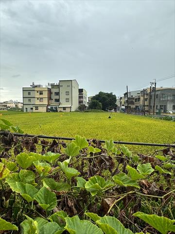 生產者圖片