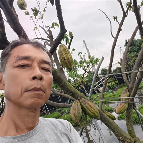 生產者圖片