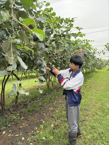 生產者圖片
