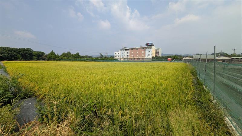 生產者圖片