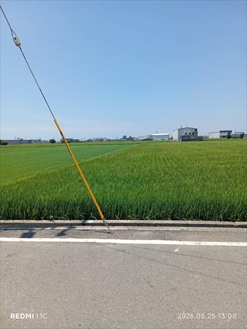 生產者圖片