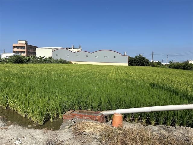 生產者圖片
