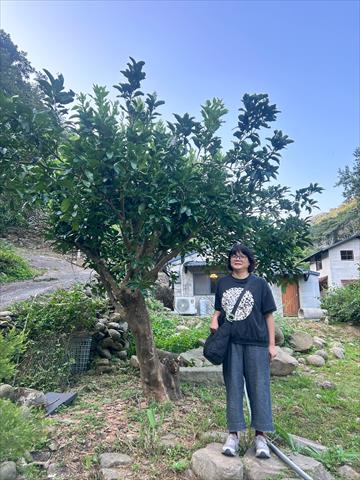 生產者圖片