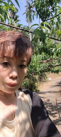 生產者圖片