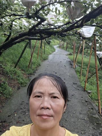 生產者圖片