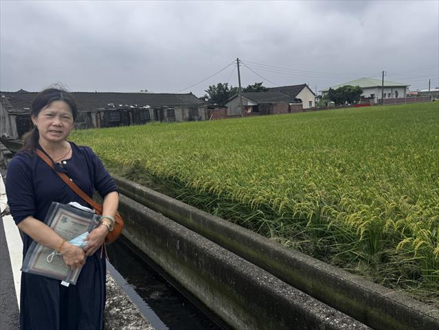 生產者圖片