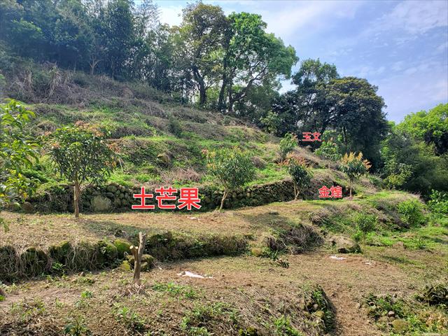 生產者圖片