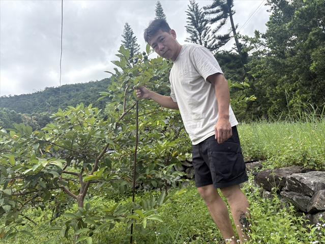 生產者圖片