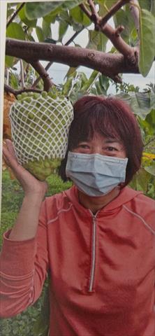 生產者圖片