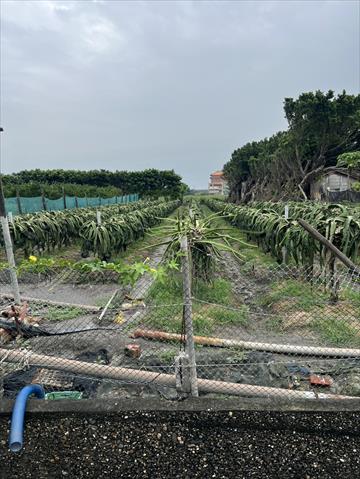 生產者圖片