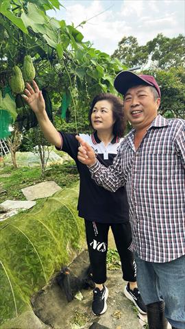 生產者圖片