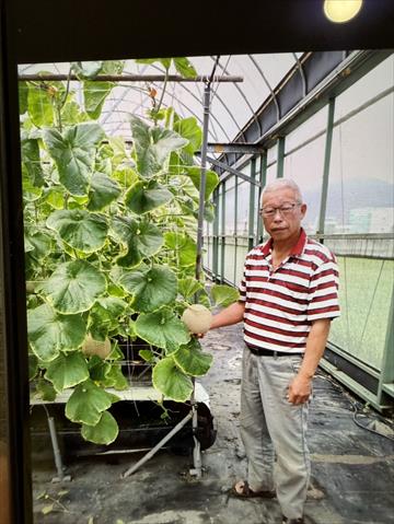 生產者圖片