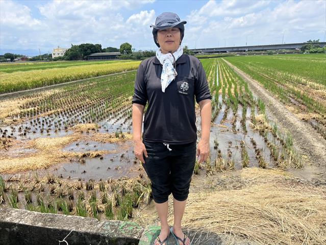 生產者圖片