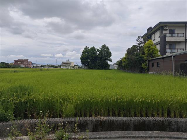 生產者圖片