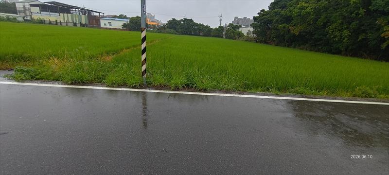 生產者圖片