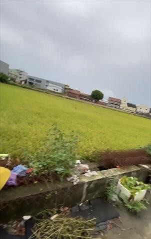 生產者圖片