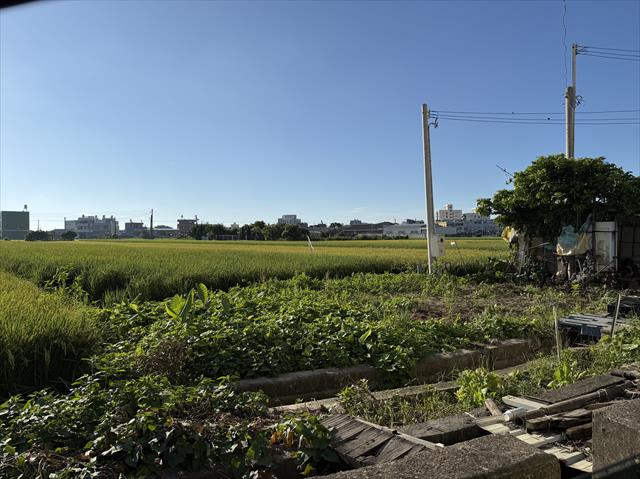 生產者圖片