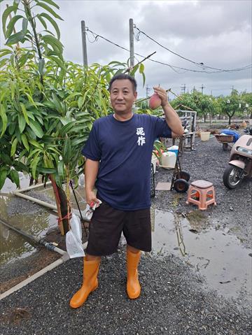 生產者圖片