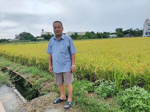 生產者圖片