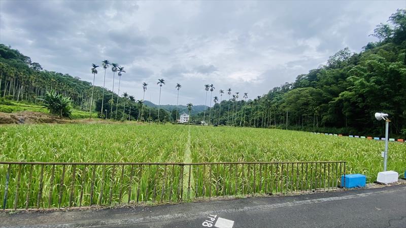 生產者圖片