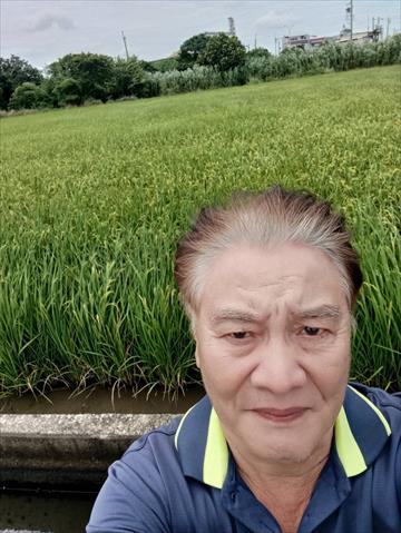 生產者圖片