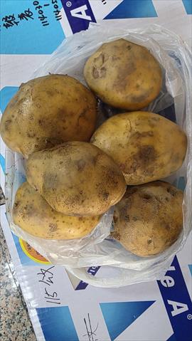 生產者圖片