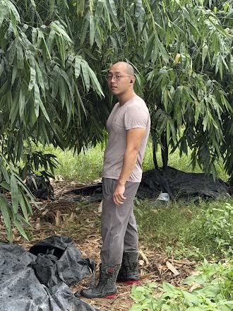 生產者圖片