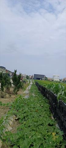 生產者圖片