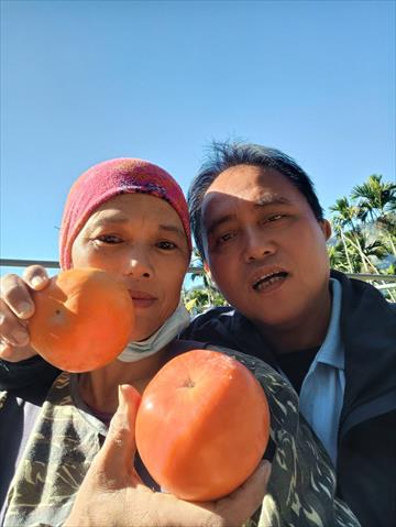生產者圖片