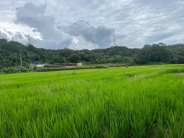 生產者圖片