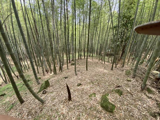 生產者圖片