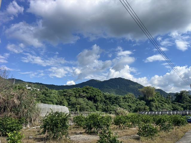 生產者圖片