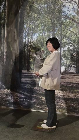 生產者圖片