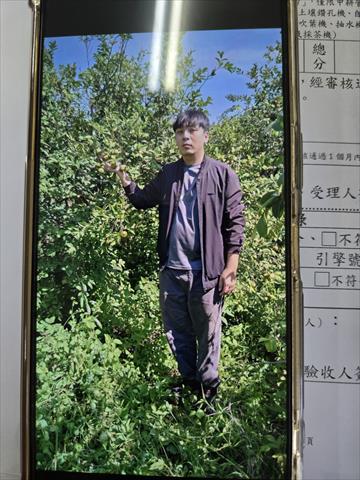 生產者圖片