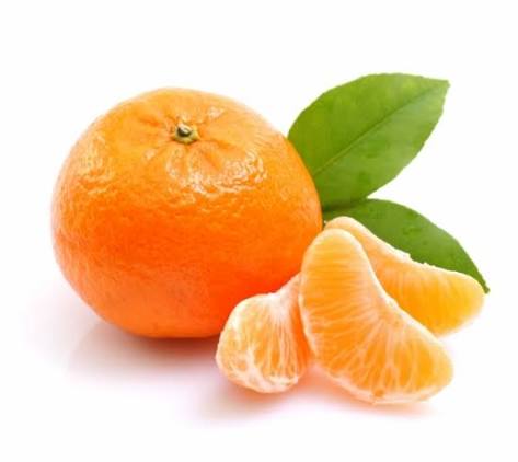 生產者圖片