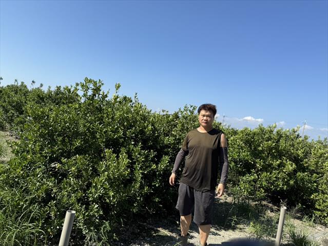 生產者圖片