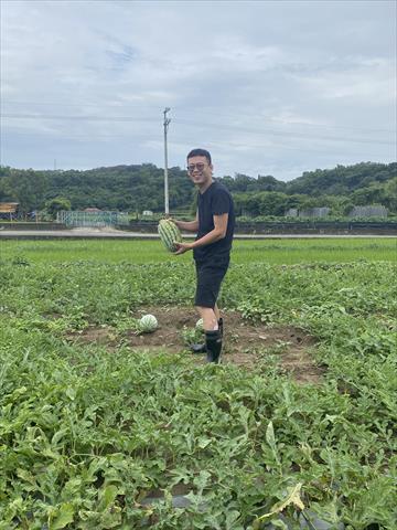 生產者圖片